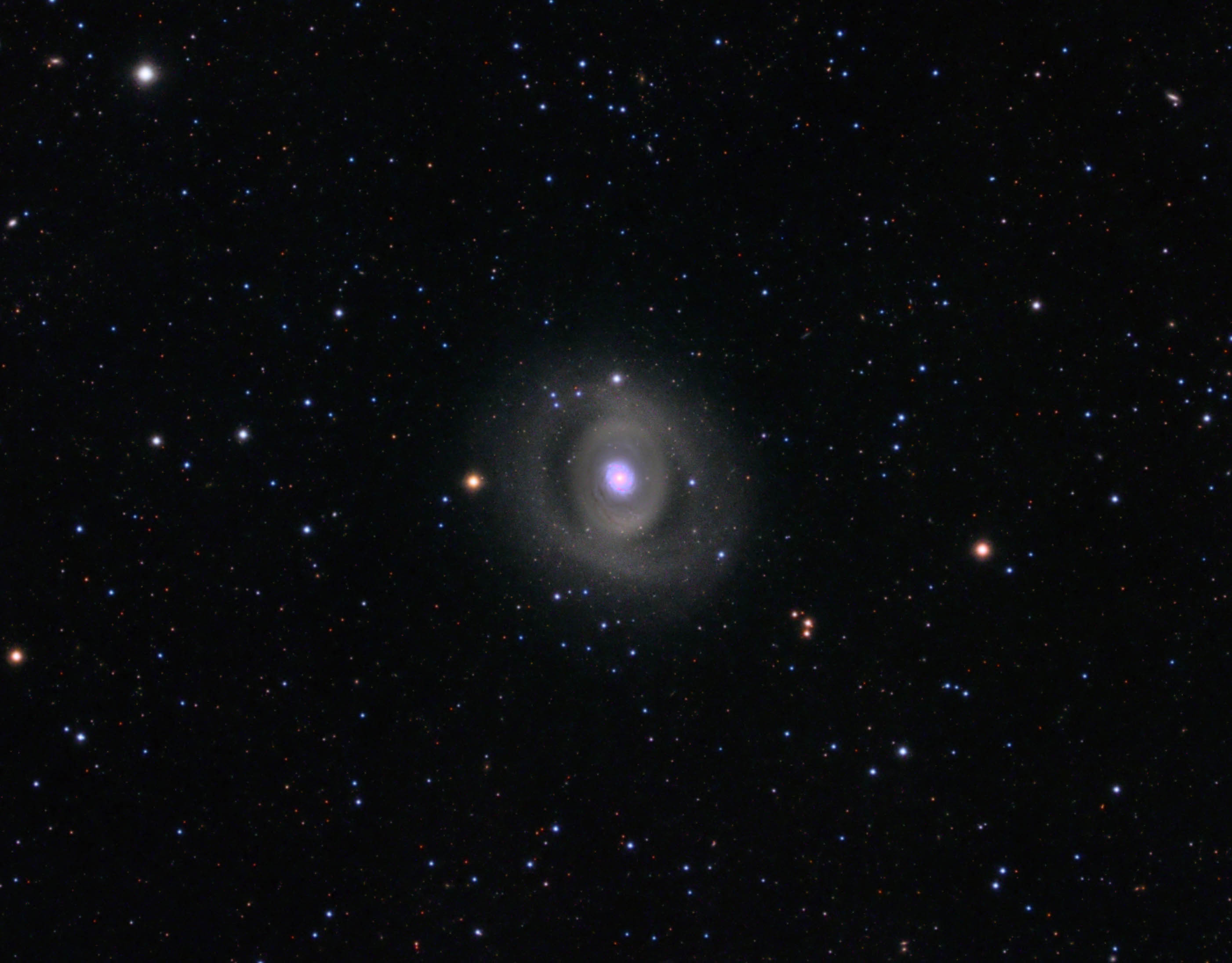 M94 - Croc's eye galaxy