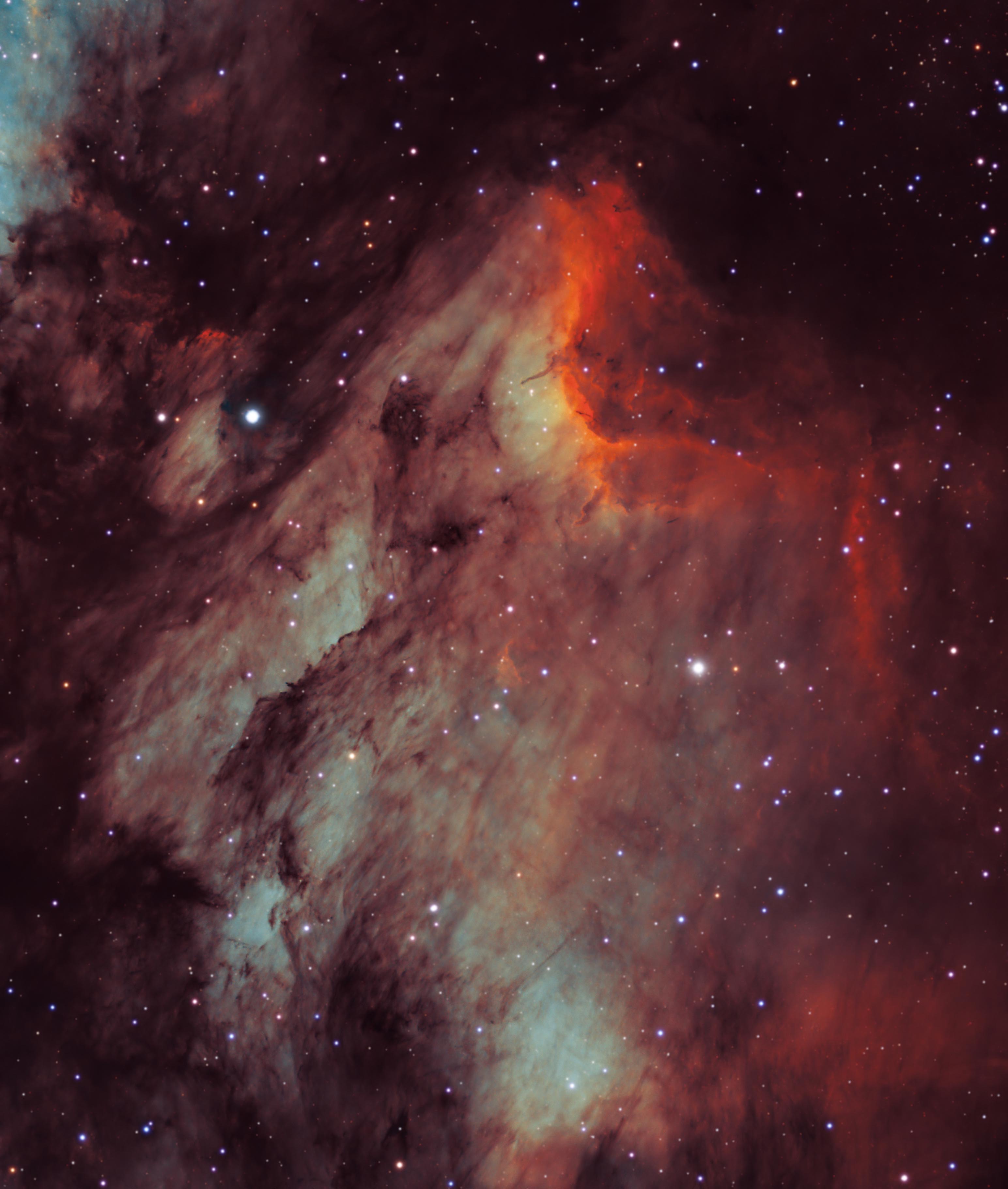 IC5070 The Pelican nebula